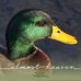 Profile Picture of Doug Boyce (@doug.boyce.75) on Facebook