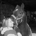 Profile Picture of Morgan Elizabeth (@MEChessma) on Pinterest