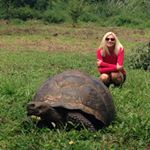 Profile Picture of Beverly Weaver (@zgbeverly) on Instagram