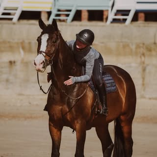 Profile Picture of Alice Joan Taylor (@alicejoanequestrian) on Instagram