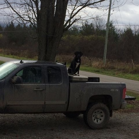 Profile Picture of Brian Simpson (@briansimpson421) on Poshmark