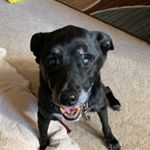 Profile Picture of Jerri Ferrell Saltz (@jerrisaltz) on Instagram