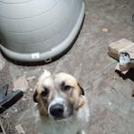 Stephen Gorslski - Facebook Profile Picture of Stephen Gorslski (@Stephen-Gorslski) on Facebook