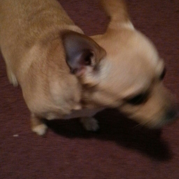 Kimberly Swann - Poshmark Profile Picture of Kimberly Swann (@kim6879) on Poshmark