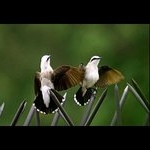 Profile Picture of Irving Kecker (@irvingkecker) on Instagram