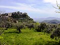 Profile Picture of Verolion Wikipedia