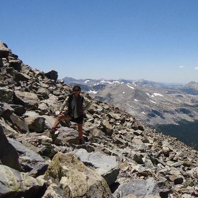 Profile Picture of Maya Wolf (@mayamwolf) on Twitter