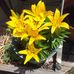 Profile Picture of Michael Farnsworth (@michael.farnsworth.5688) on Facebook