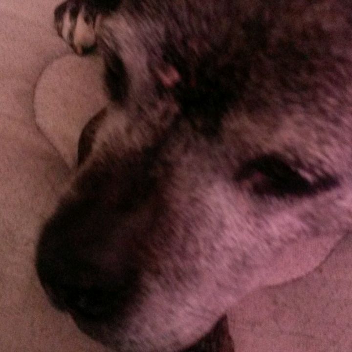 Profile Picture of user7026266397653 (@renae_bateman_2000) on Tiktok