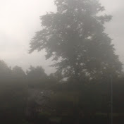 Profile Picture of Noel Whitehead (@noelwhitehead8913) on Youtube