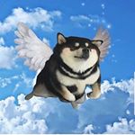 Bryannaaaa - Instagram Profile Picture of Bryannaaaa (@brymerri) on Instagram