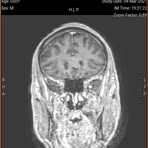 Profile Picture of Derek Saal (@derek.saal.2025) on Facebook