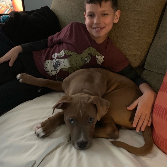 Profile Picture of Danny Espinosa (@dannyespinosa) on Poshmark