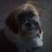 Profile Picture of Michael Pou (@michael.pou.714) on Facebook