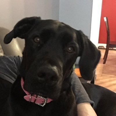 Profile Picture of Amy Quilty (@the_icy_test) on Twitter