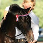Profile Picture of Julie Judge (@judge5127) on Instagram