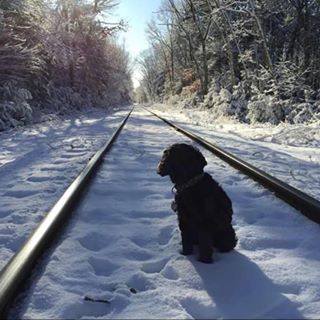 Profile Picture of Greg Peckham (@Greg-Peckham) on Facebook