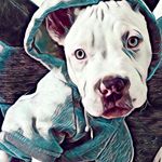 Profile Picture of Rigoberto Tovar (@rigobertotovar) on Instagram