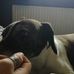 Profile Picture of Darrell Jason (@darrell.hogg.754) on Facebook
