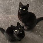 Profile Picture of Friemel and No-Name (@friemel_and_noname) on Instagram