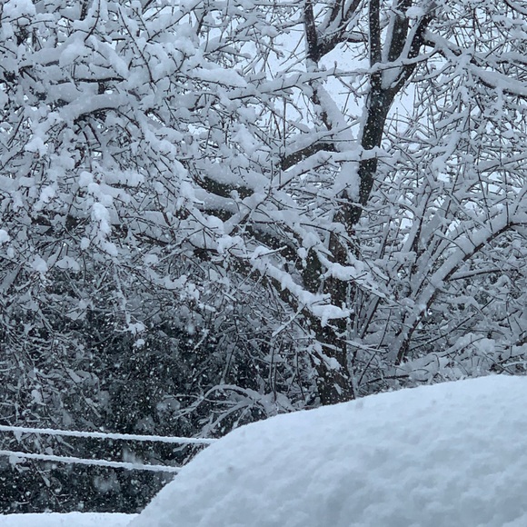 Profile Picture of Mariane Tadros (@marianetadros) on Poshmark