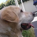 Profile Picture of Trudy-Louise Barry (@trudylouisebarry) on Instagram