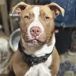 Profile Picture of Jonathan Mosteller (@jonathan.mosteller.3) on Facebook