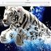 Profile Picture of Eric Fetherston (@efetherston63) on Pinterest