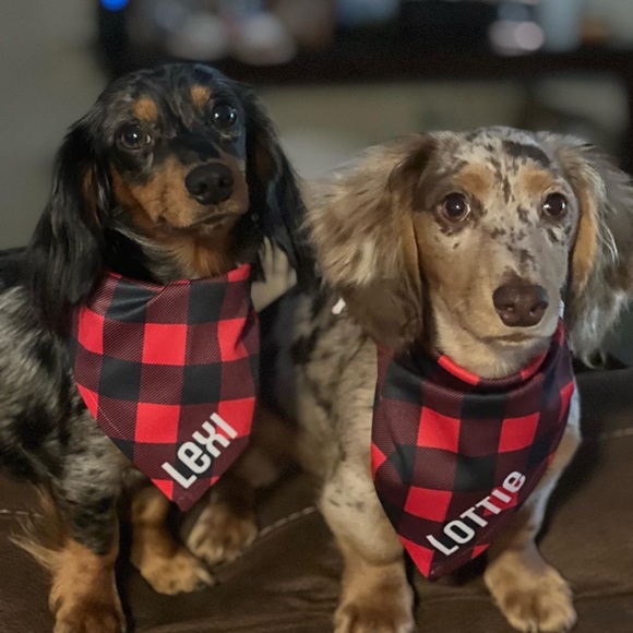 Profile Picture of Leah Saylor (@leahsaylor97) on Poshmark