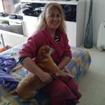 Profile Picture of Yolanda Roche (@iolanda.roche) on Instagram
