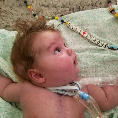 Profile Picture of Matt Waechter (@mwaech) on Twitter