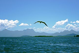 Profile Picture of Guaricana National Parkon Wikipedia