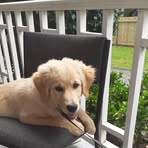 Profile Picture of Amanda Hosking Williams (@Amanda-Hosking-Williams) on Facebook