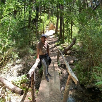 Cristofer Díaz Carrion - Twitter Profile Picture of Cristofer Díaz Carrion (@huasocris) on Twitter