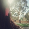 Profile Picture of Crystal  Liu (@@crystalliu4) on Tiktok