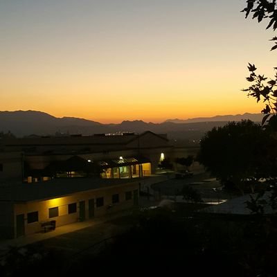 Profile Picture of Anthony Bailey (@babypython) on Twitter