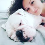 Profile Picture of Alice gibaldo (@rambothebulldoz) on Instagram