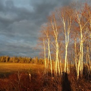 Profile Picture of Charles Michaud (@Charles47327016) on Twitter