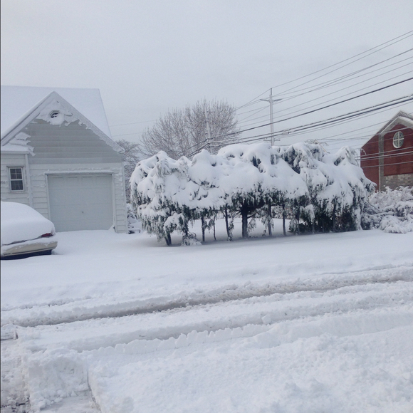 Profile Picture of Ajie Eaker (@divinemeer) on Poshmark