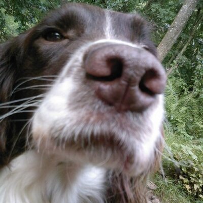Profile Picture of Derek Summers (@DerekSummers1) on Twitter