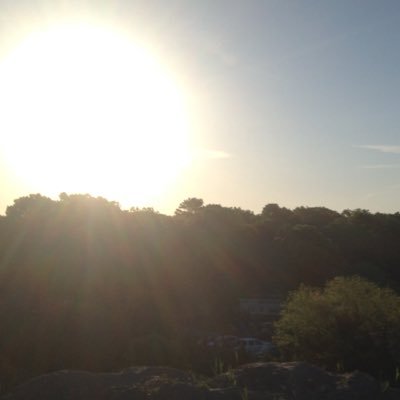 Profile Picture of Pat (@Pat_Fee) on Twitter