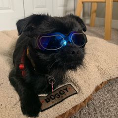 Profile Picture of Eric Maillet (@eric.maillet) on Tiktok
