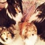 Profile Picture of Steve Wheeler (@steve.wheeler.1217) on Instagram