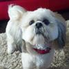 Profile Picture of barbaramcmichael4 (@barbaramcmichael4) on Tiktok