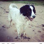 Profile Picture of Tracey Cleary (@cleary640) on Instagram