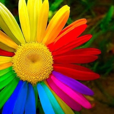 Profile Picture of Nancy Verma (@nancyverma736) on Twitter