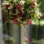 Profile Picture of Azra Shahid (@azrashahid000) on Instagram