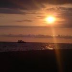 Profile Picture of Melanie Andreasen (@mandreasen8456) on Pinterest