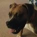 Profile Picture of John Jaros (@john.jaros.90) on Facebook