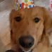 Profile Picture of Diane Morrissey (@diane.morrissey.98) on Facebook